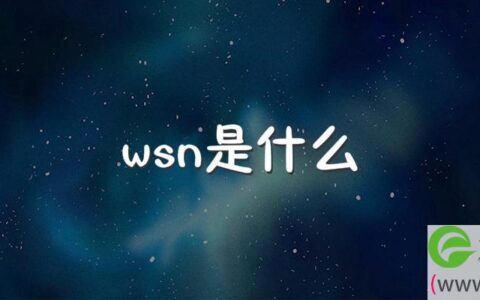 wsn是什么梗