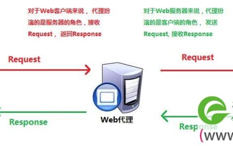 什么是代理服务器 代理服务器有什么功能(图)