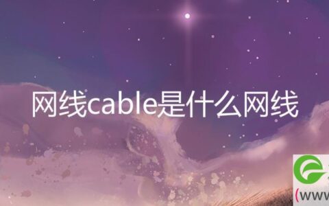 网线cable是什么网线(图文)