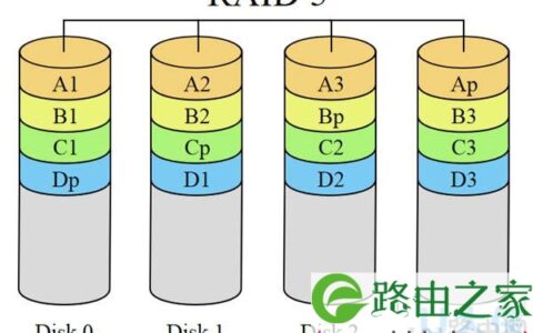 Linux系统常用磁盘阵列使用方法(图)