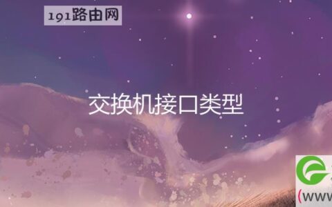 交换机接口类型(图文)