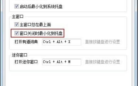 有道词典设置关闭时最小化到系统托盘教程