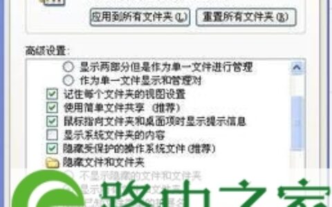 U盘隐藏文件恢复显示教程