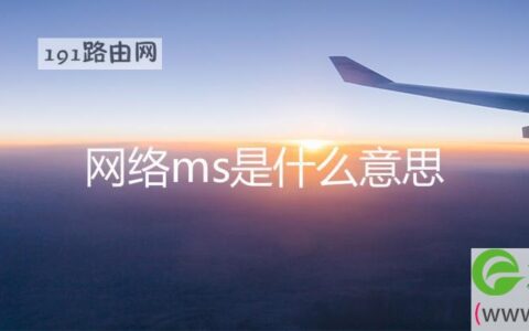 网络ms是什么意思(图文)