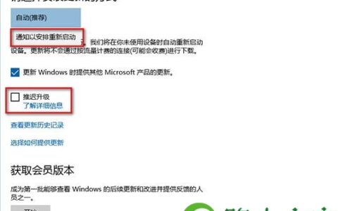 win10中windows modules installerworker占用大量内存(图)