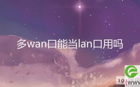 多wan口能当lan口用吗(图文)