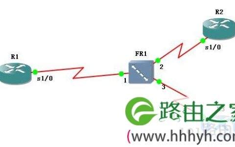 Linux系统NBMA和BMA的交换方式(图)