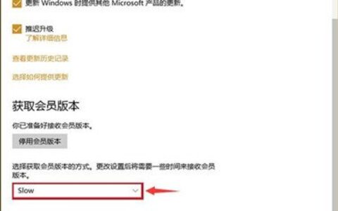 Win10预览版怎么升级 Win10预览版升级方法