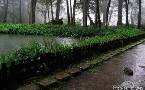 拍摄雨景有什么方法与技巧