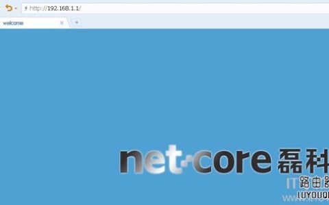 Netcore磊科路由器登录地址是多少？(网芯雷科路由器的登录地址是什么？)