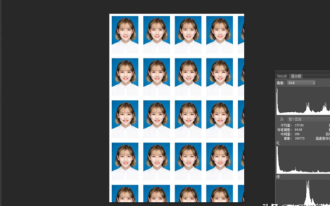 教你PhotoShop证件照如何排版(ps教程证件照排版)