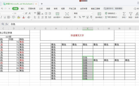 初学excel表格办公软件快速填充文字(excel表格怎么快速填充文字)