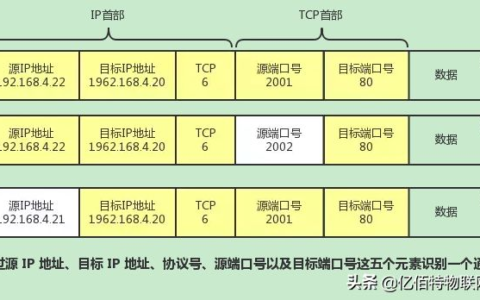 关于计算机网络的知识(关于计算机网络的知识有哪些)