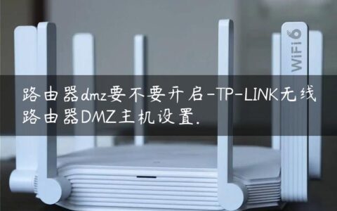 路由器dmz要不要开启-TP-LINK无线路由器DMZ主机设置.