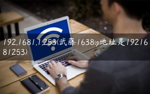 192.1681.1.253(武藤1638ip地址是1921681253)