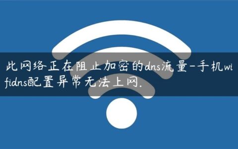 此网络正在阻止加密的dns流量-手机wifidns配置异常无法上网.