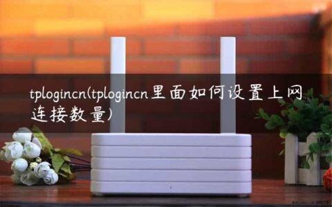 tplogincn(tplogincn里面如何设置上网连接数量)