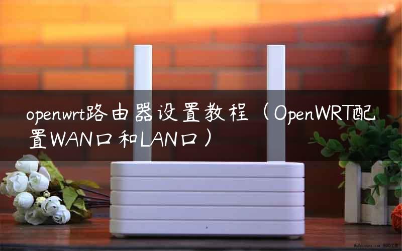 openwrt路由器设置教程（OpenWRT配置WAN口和LAN口）