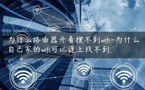 为什么路由器开着搜不到wifi-为什么自己家的wifi可以连上找不到.