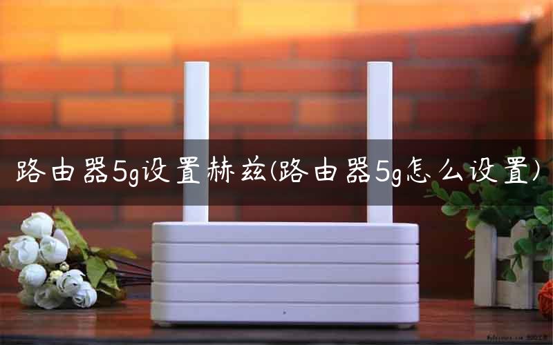 路由器5g设置赫兹(路由器5g怎么设置)