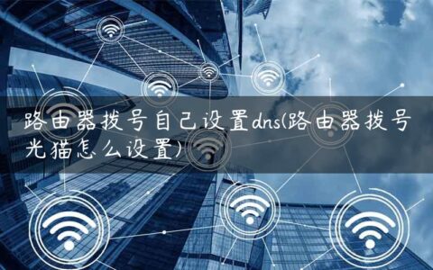 路由器拨号自己设置dns(路由器拨号光猫怎么设置)