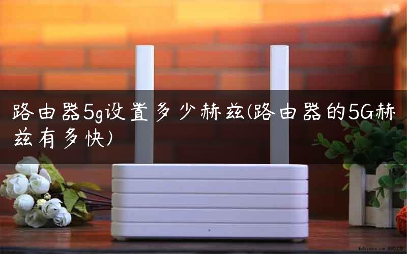 路由器5g设置多少赫兹(路由器的5G赫兹有多快)